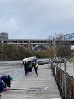 IMG 0541